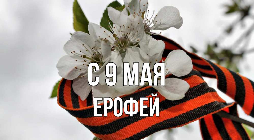 Открытка на каждый день с именем, Ерофей С 9 мая 9 мая Прикольная открытка с пожеланием онлайн скачать бесплатно 