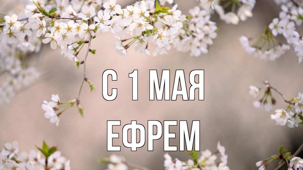 Открытка на каждый день с именем, Ефрем С 1 мая С 1 мая Прикольная открытка с пожеланием онлайн скачать бесплатно 