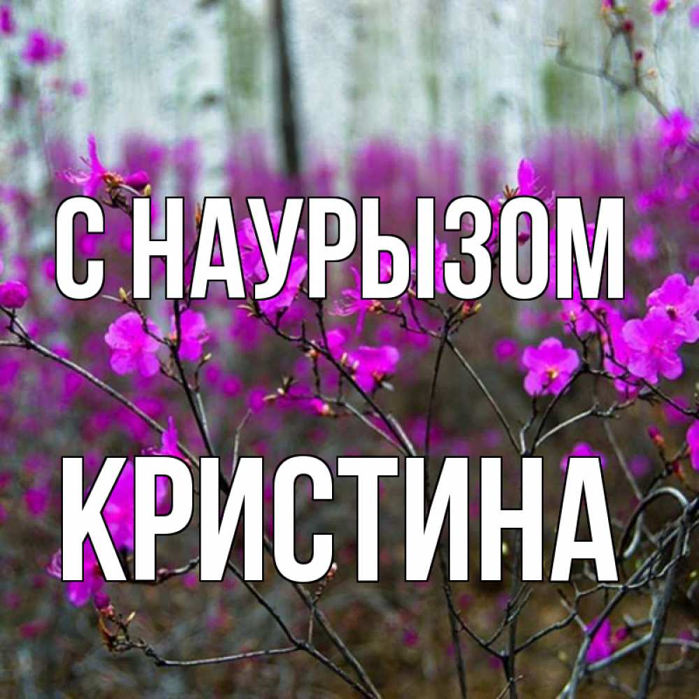 Открытка на каждый день с именем, Кристина С наурызом дикие цветы Прикольная открытка с пожеланием онлайн скачать бесплатно 