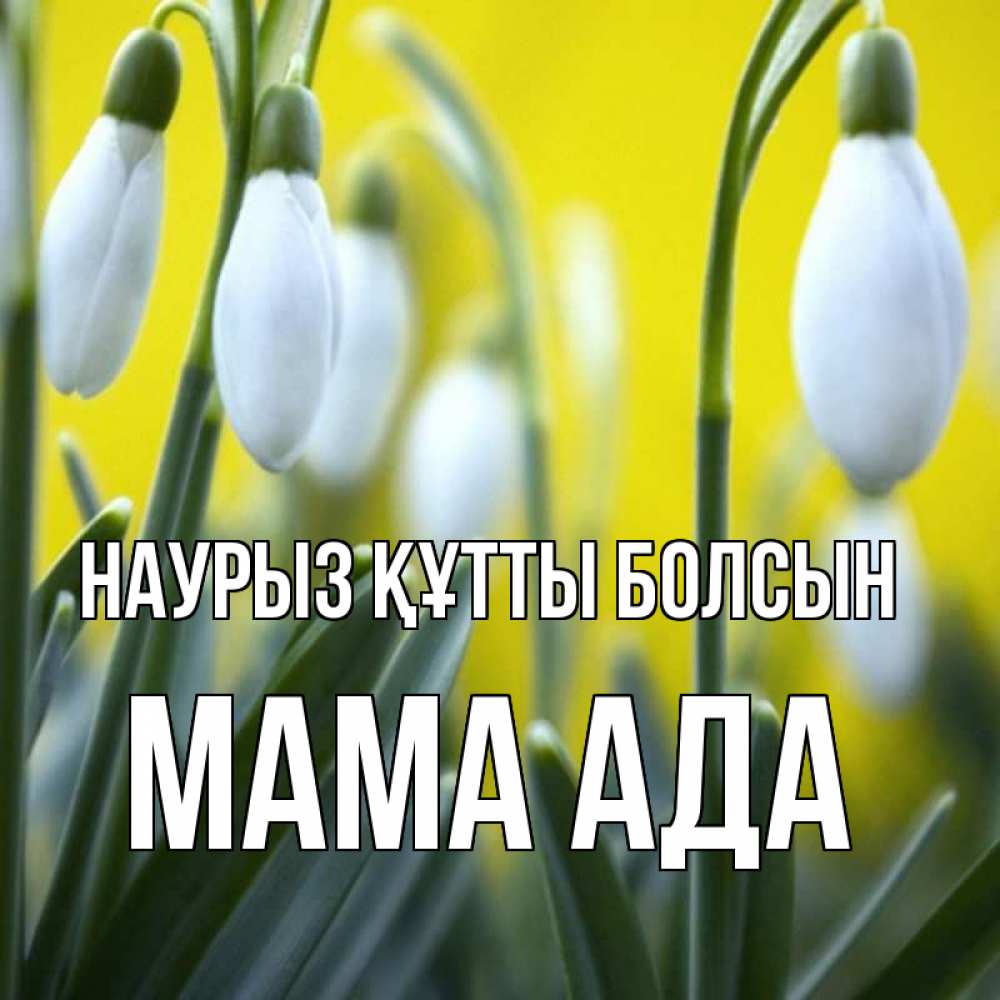 Открытка на каждый день с именем, Мама-Ада Наурыз құтты болсын весенние цветы Прикольная открытка с пожеланием онлайн скачать бесплатно 