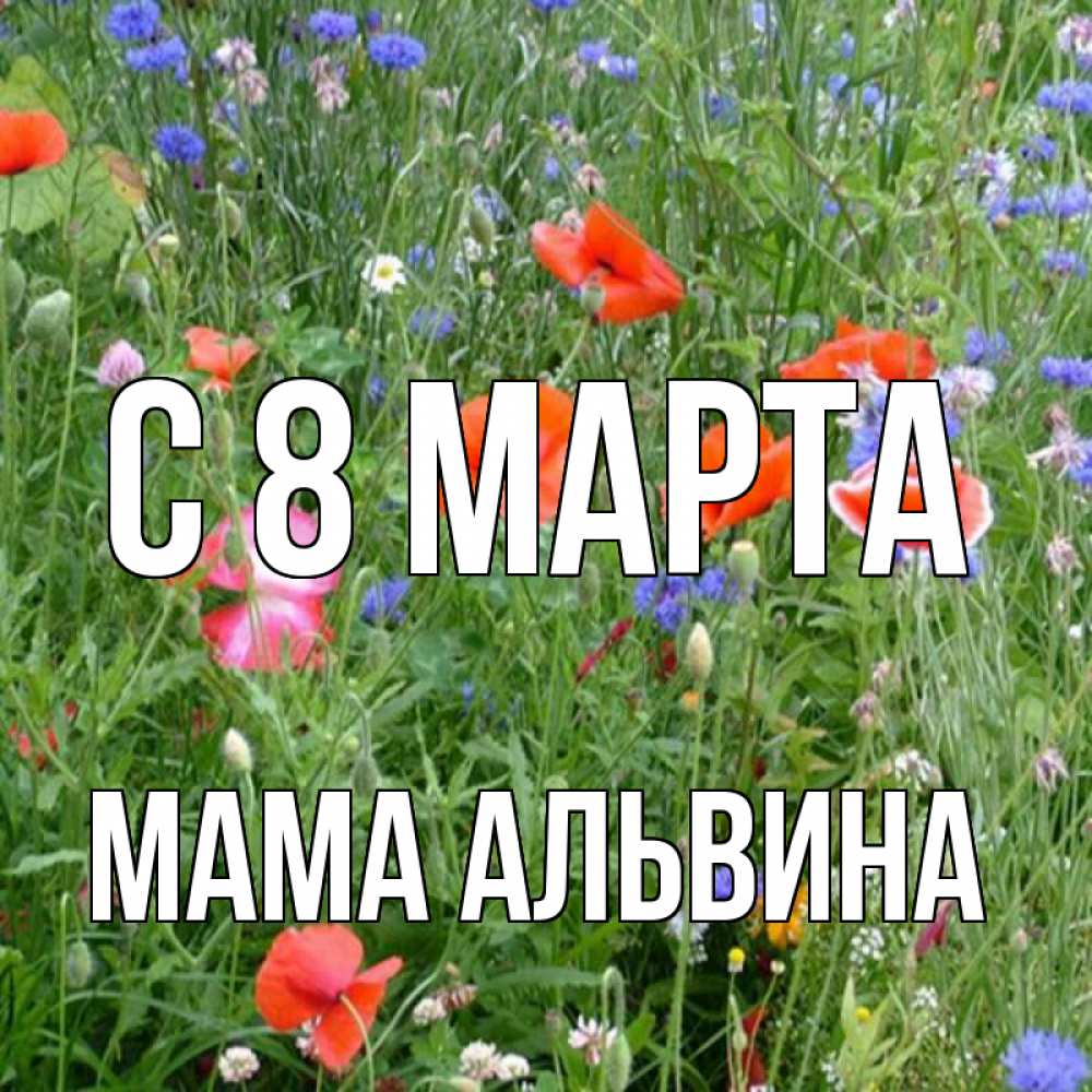Открытка на каждый день с именем, Мама-Альвина С 8 МАРТА международный женский день 4 Прикольная открытка с пожеланием онлайн скачать бесплатно 
