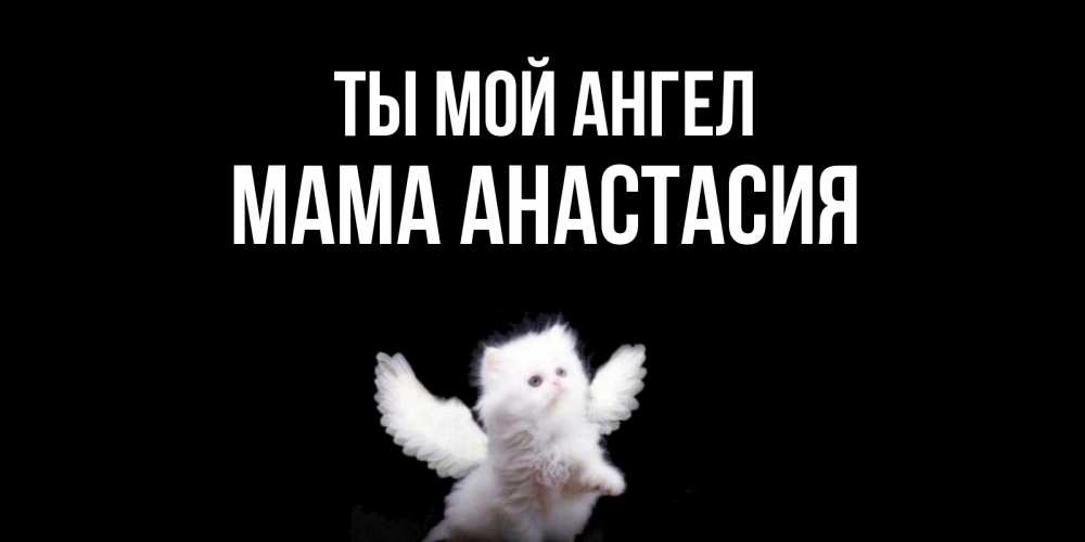 Открытка на каждый день с именем, Мама-Анастасия Ты мой ангел Кот ангел Прикольная открытка с пожеланием онлайн скачать бесплатно 