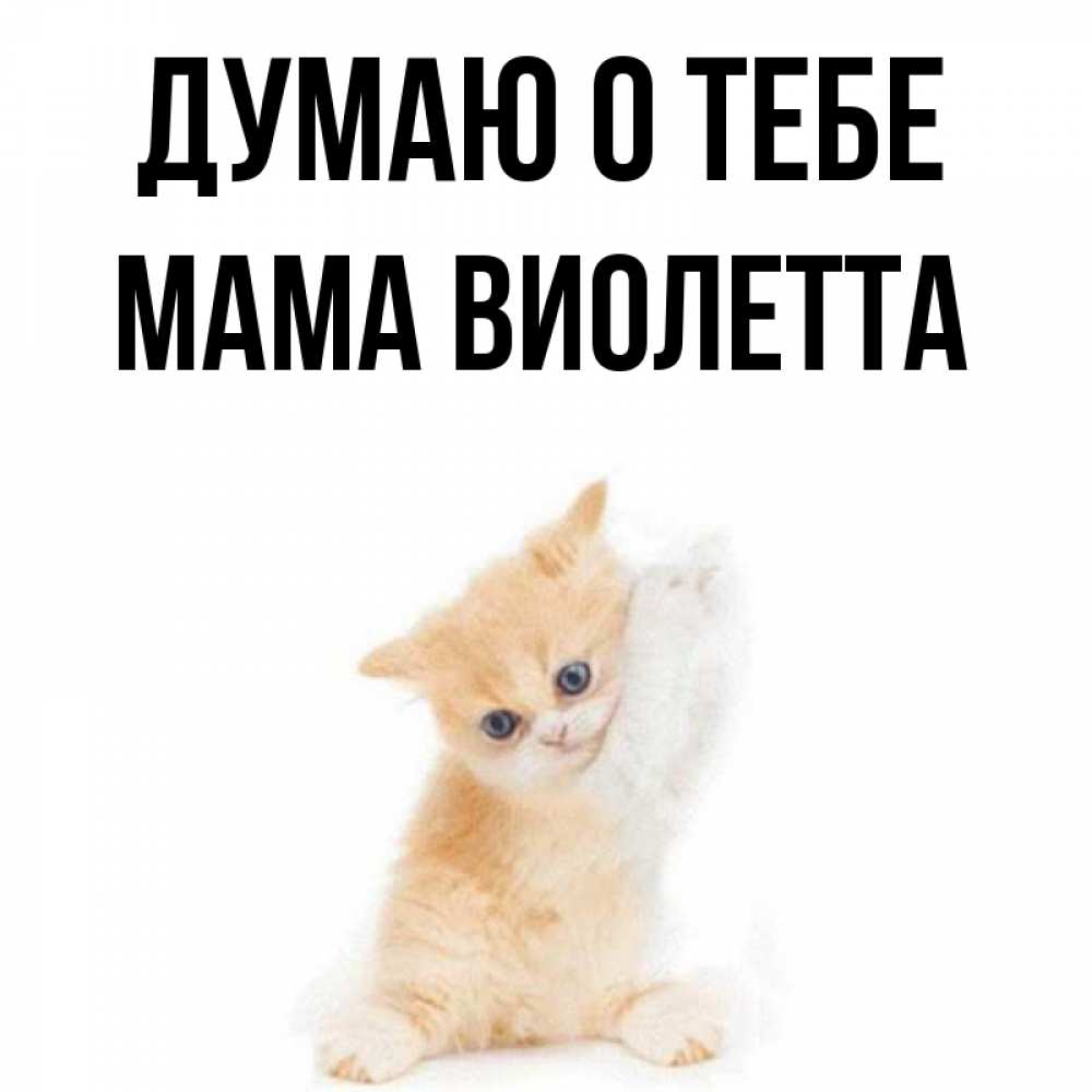 Открытка на каждый день с именем, Мама-Виолетта Думаю о тебе зверушки и милота Прикольная открытка с пожеланием онлайн скачать бесплатно 