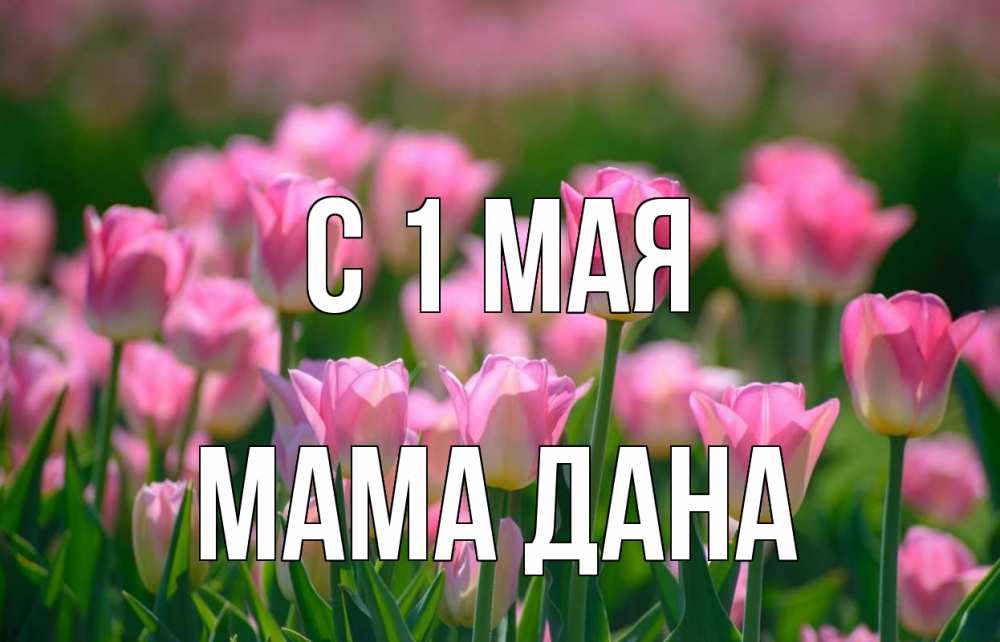 Открытка на каждый день с именем, Мама-Дана С 1 мая С 1 мая Прикольная открытка с пожеланием онлайн скачать бесплатно 