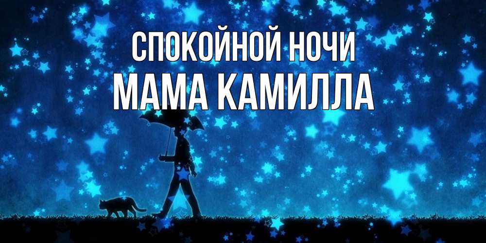 Открытка на каждый день с именем, Мама-Камилла Спокойной ночи ночные прогулки с котом под звездами Прикольная открытка с пожеланием онлайн скачать бесплатно 