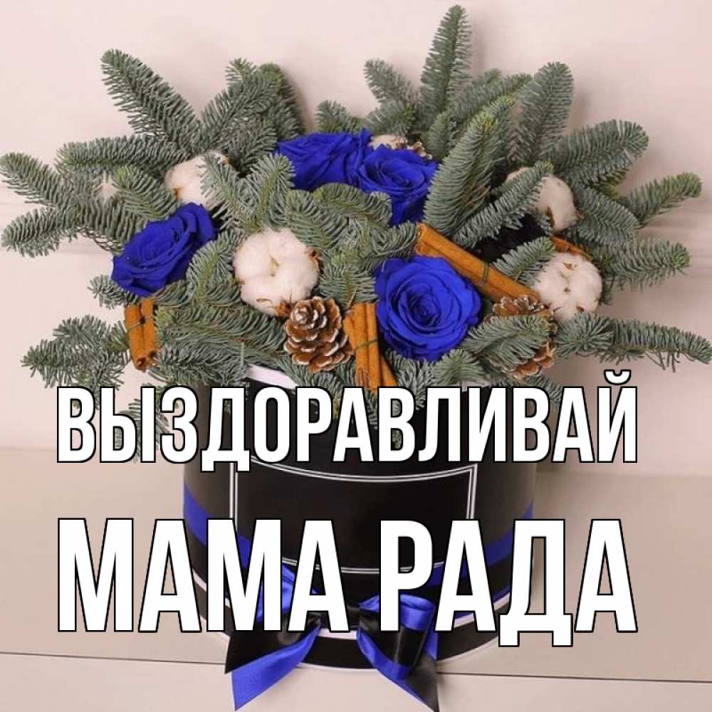 Открытка на каждый день с именем, Мама-Рада Выздоравливай короче кто то загрузил эти шишки Прикольная открытка с пожеланием онлайн скачать бесплатно 