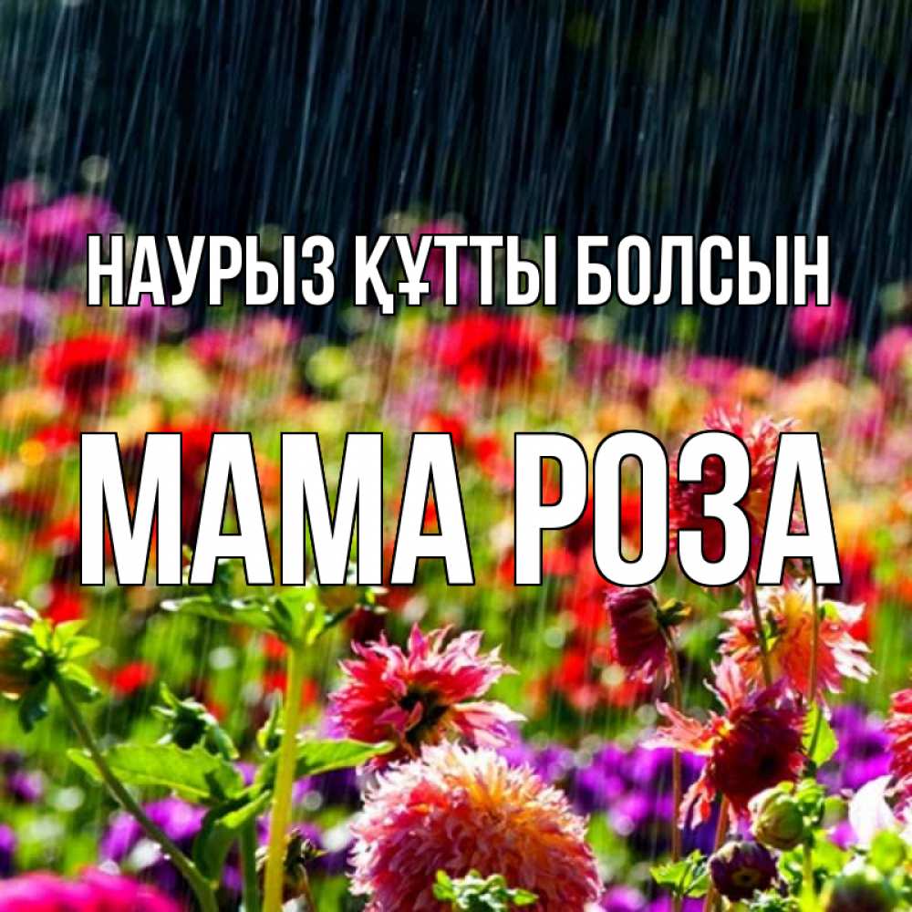 Открытка на каждый день с именем, Мама-Роза Наурыз құтты болсын цветы под дождиком к наурызу Прикольная открытка с пожеланием онлайн скачать бесплатно 