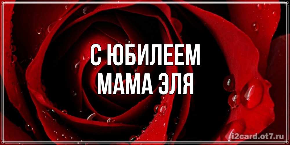 Открытка на каждый день с именем, Мама-Эля С юбилеем крупная бордовая роза Прикольная открытка с пожеланием онлайн скачать бесплатно 