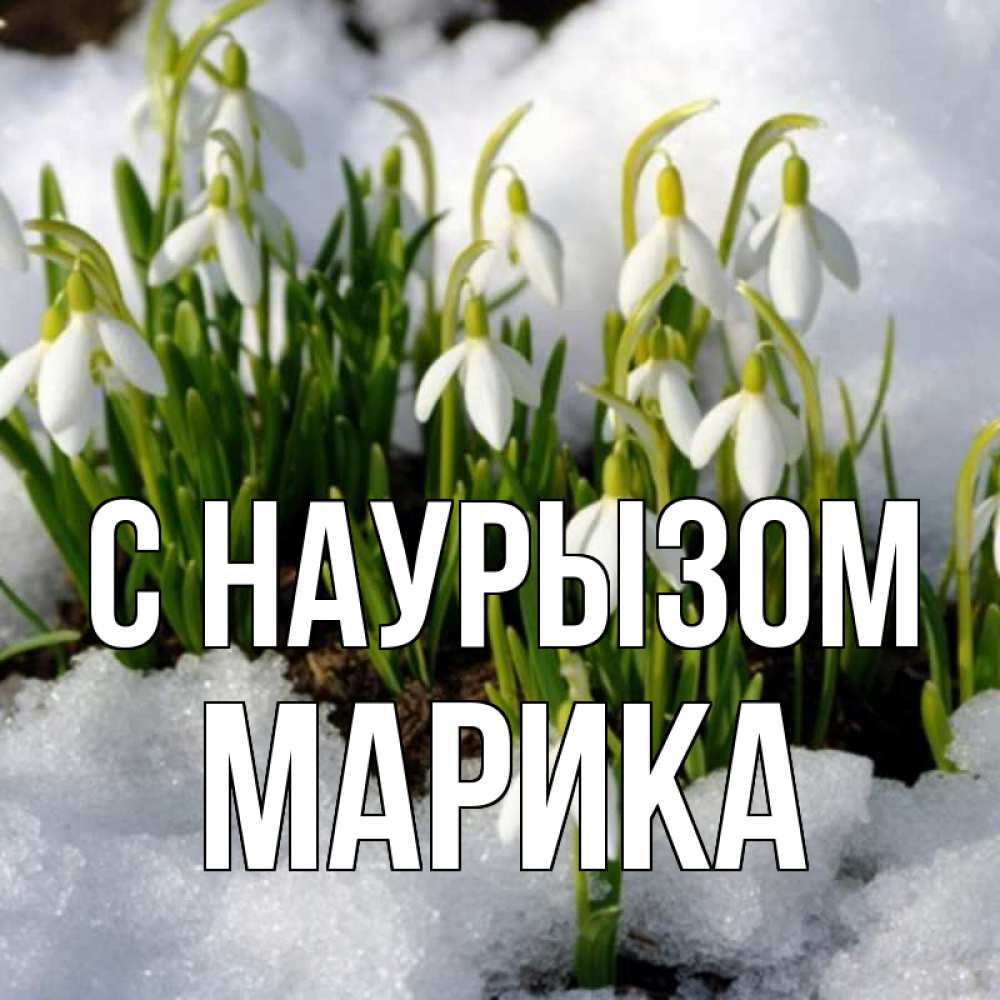 Открытка на каждый день с именем, Марика С наурызом цветы весенние Прикольная открытка с пожеланием онлайн скачать бесплатно 