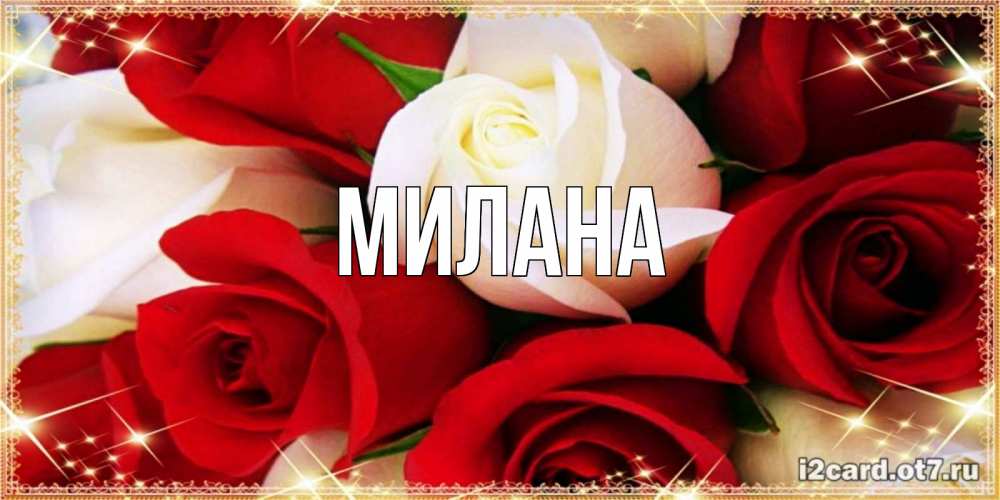 Открытка на каждый день с именем, Милана Главная открытка на день рождения с белыми и красными розами Прикольная открытка с пожеланием онлайн скачать бесплатно 
