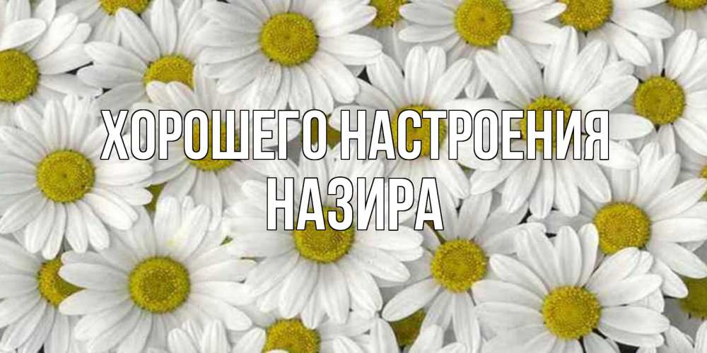 Открытка на каждый день с именем, Назира Хорошего настроения поляна ромашек Прикольная открытка с пожеланием онлайн скачать бесплатно 