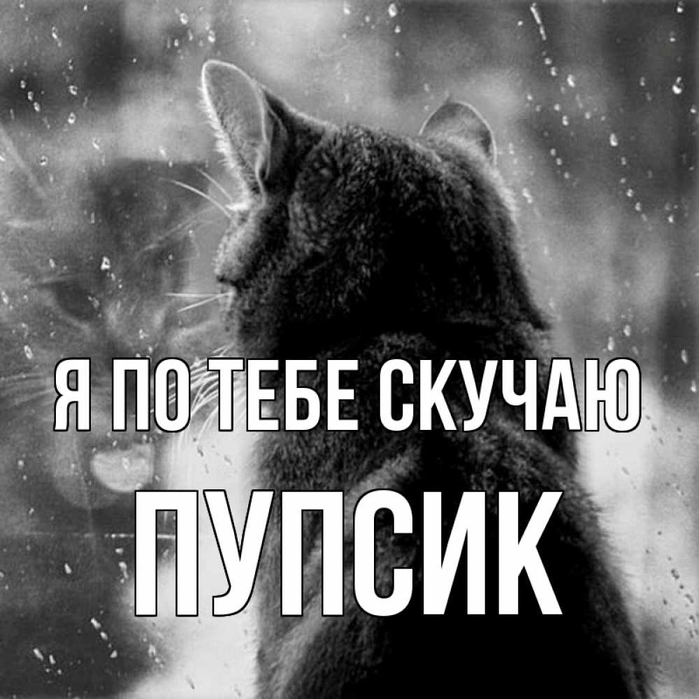 Открытка на каждый день с именем, Пупсик Я по тебе скучаю скорее ко мне приходи 1 Прикольная открытка с пожеланием онлайн скачать бесплатно 