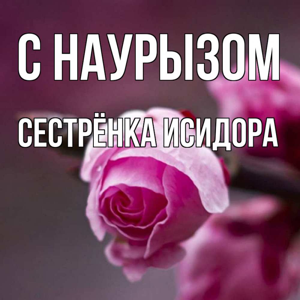 Открытка на каждый день с именем, Сестрёнка-Исидора С наурызом весна Прикольная открытка с пожеланием онлайн скачать бесплатно 