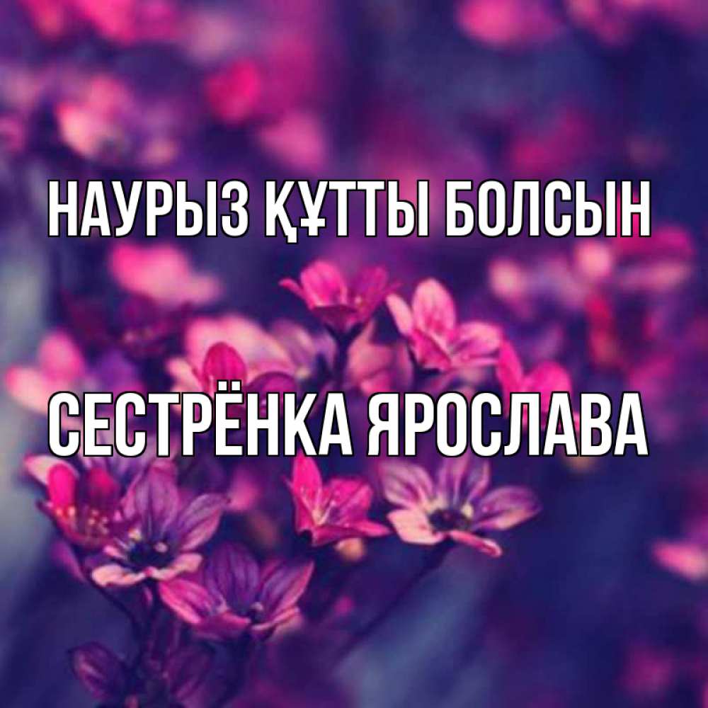 Открытка на каждый день с именем, Сестрёнка-Ярослава Наурыз құтты болсын небольшие цветы 1 Прикольная открытка с пожеланием онлайн скачать бесплатно 
