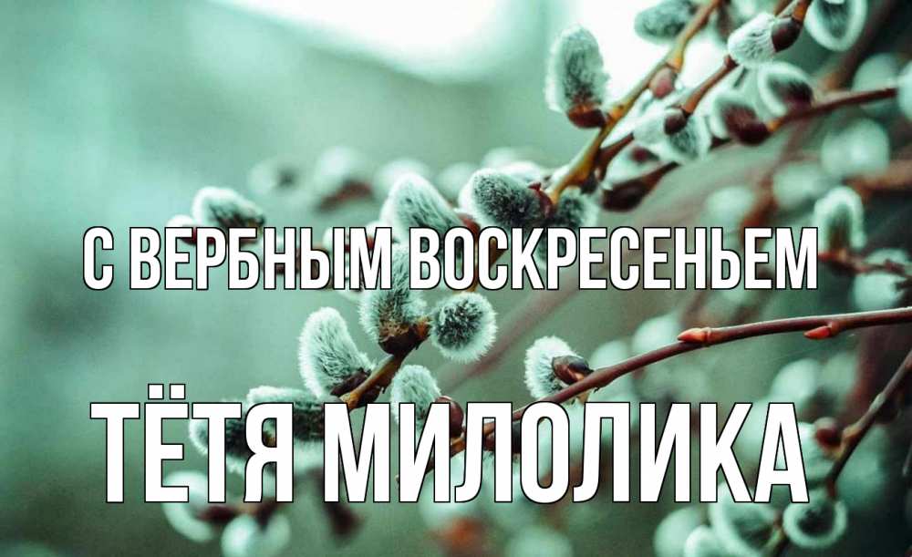Открытка на каждый день с именем, Тётя-Милолика С вербным воскресеньем верба Прикольная открытка с пожеланием онлайн скачать бесплатно 