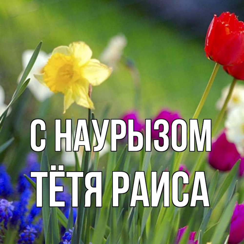 Открытка на каждый день с именем, Тётя-Раиса С наурызом праздник весны наурыз 3 Прикольная открытка с пожеланием онлайн скачать бесплатно 
