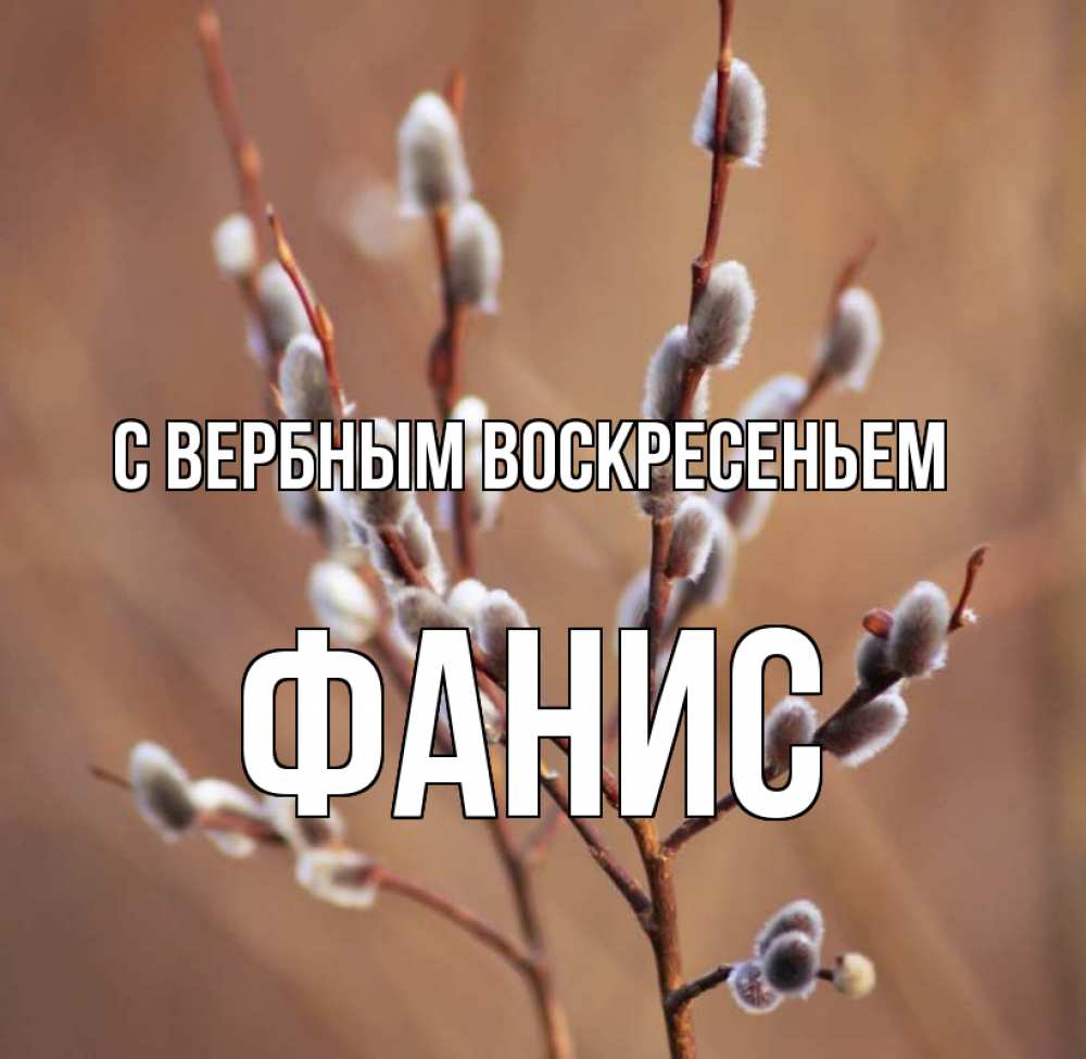 Открытка на каждый день с именем, Фанис С вербным воскресеньем верба Прикольная открытка с пожеланием онлайн скачать бесплатно 