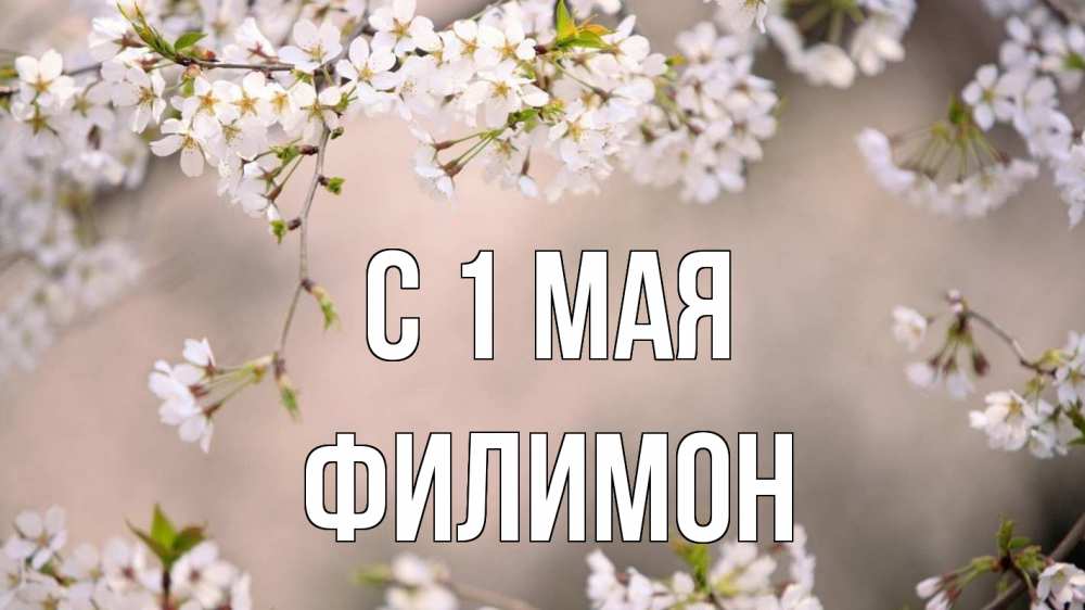 Открытка на каждый день с именем, Филимон С 1 мая С 1 мая Прикольная открытка с пожеланием онлайн скачать бесплатно 