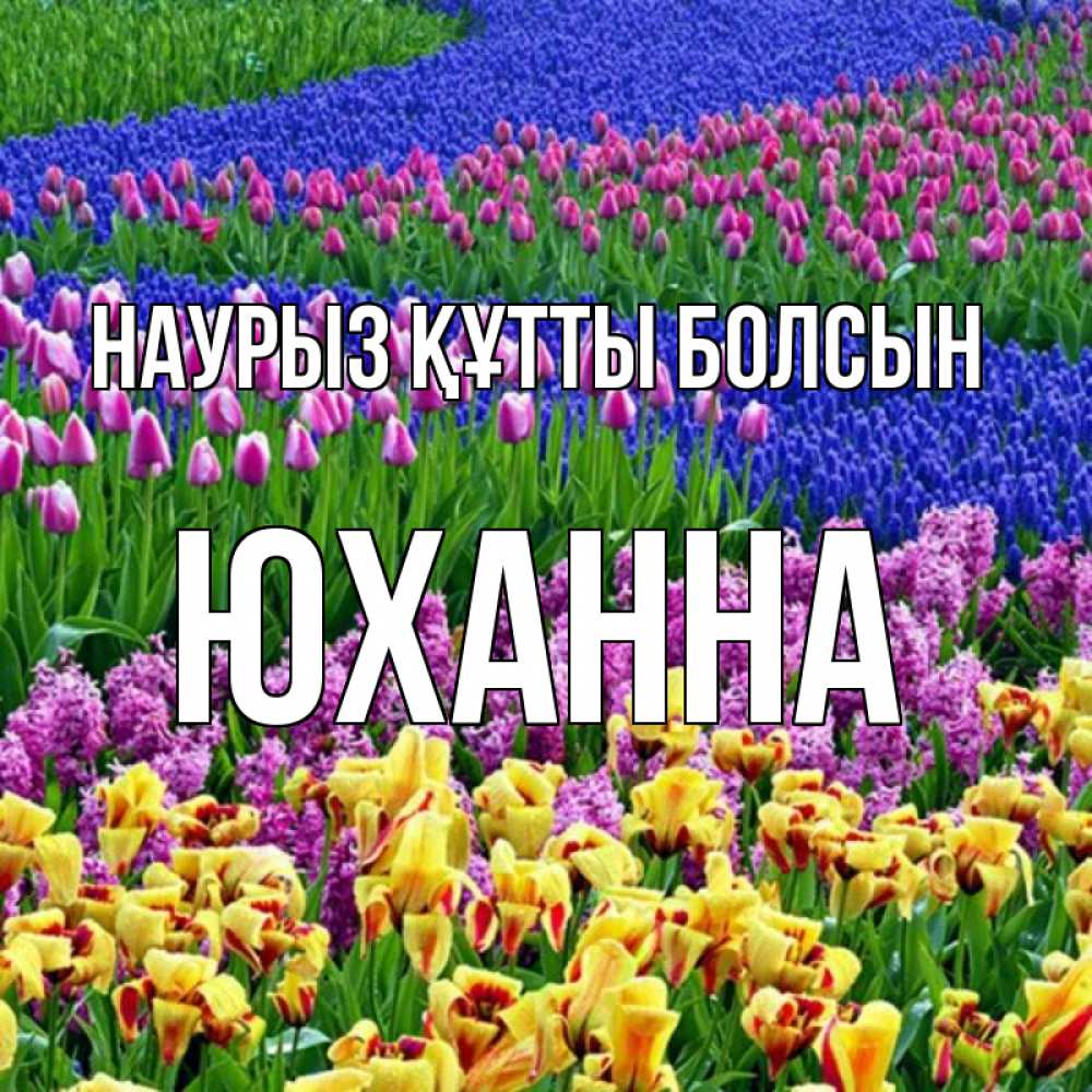 Открытка на каждый день с именем, Юханна Наурыз құтты болсын цветы Прикольная открытка с пожеланием онлайн скачать бесплатно 
