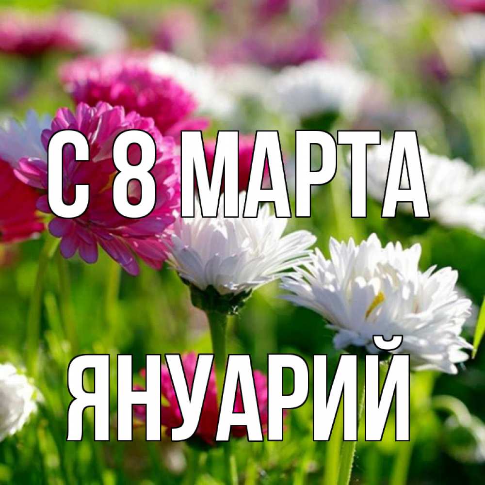 Открытка на каждый день с именем, Януарий С 8 МАРТА международный женский день 1 Прикольная открытка с пожеланием онлайн скачать бесплатно 