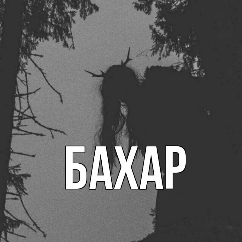 Открытка на каждый день с именем, Бахар Главная пугаю Прикольная открытка с пожеланием онлайн скачать бесплатно 