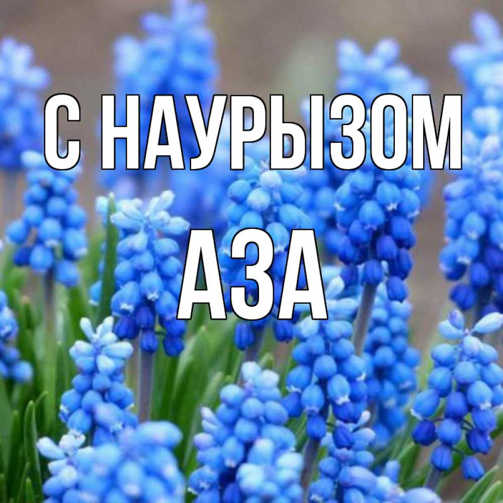 Открытка на каждый день с именем, Аза С наурызом Поздравительная открытка для женщин с цветами на праздничную дату Прикольная открытка с пожеланием онлайн скачать бесплатно 