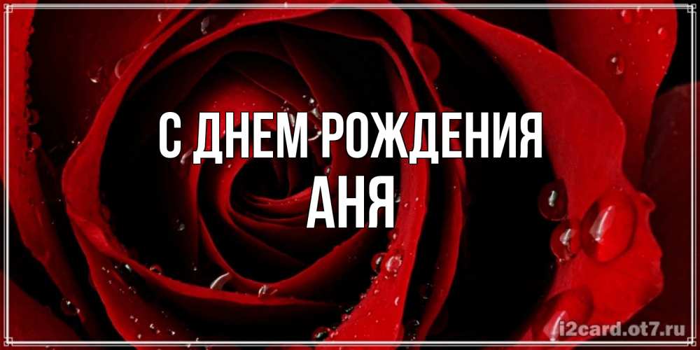 Открытка на каждый день с именем, Аня С днем рождения крупная бордовая роза Прикольная открытка с пожеланием онлайн скачать бесплатно 
