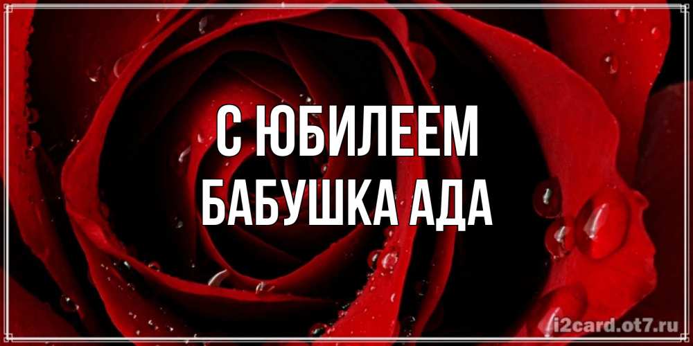 Открытка на каждый день с именем, Бабушка-Ада С юбилеем крупная бордовая роза Прикольная открытка с пожеланием онлайн скачать бесплатно 