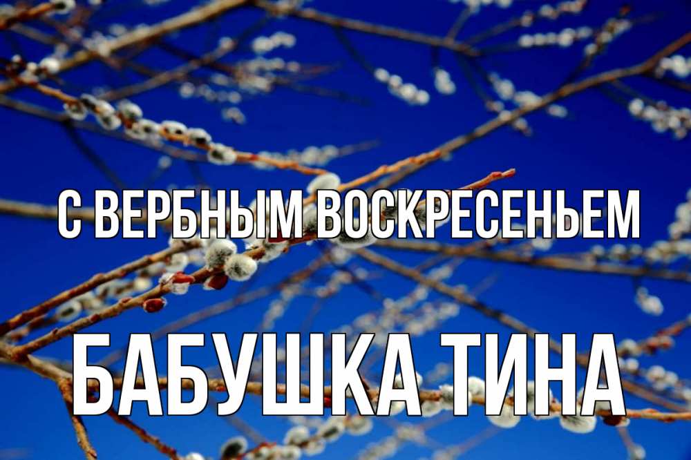 Открытка на каждый день с именем, Бабушка-Тина С вербным воскресеньем верба Прикольная открытка с пожеланием онлайн скачать бесплатно 