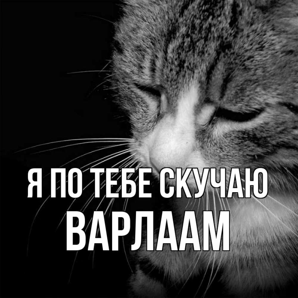 Открытка на каждый день с именем, Варлаам Я по тебе скучаю мне скучно Прикольная открытка с пожеланием онлайн скачать бесплатно 