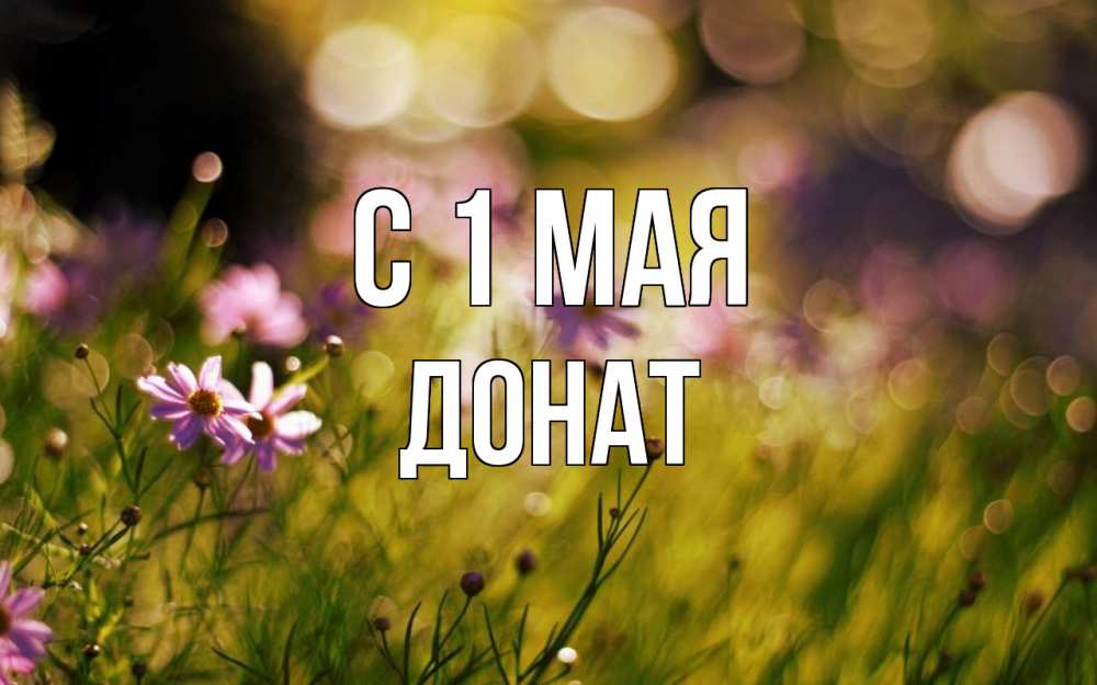 Открытка на каждый день с именем, Донат С 1 мая С 1 мая Прикольная открытка с пожеланием онлайн скачать бесплатно 