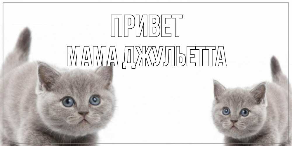 Открытка на каждый день с именем, Мама-Джульетта Привет коты Прикольная открытка с пожеланием онлайн скачать бесплатно 