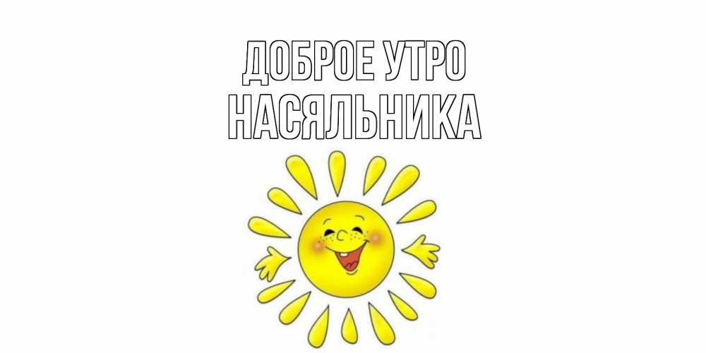 Открытка на каждый день с именем, Насяльника Доброе утро солнце Прикольная открытка с пожеланием онлайн скачать бесплатно 