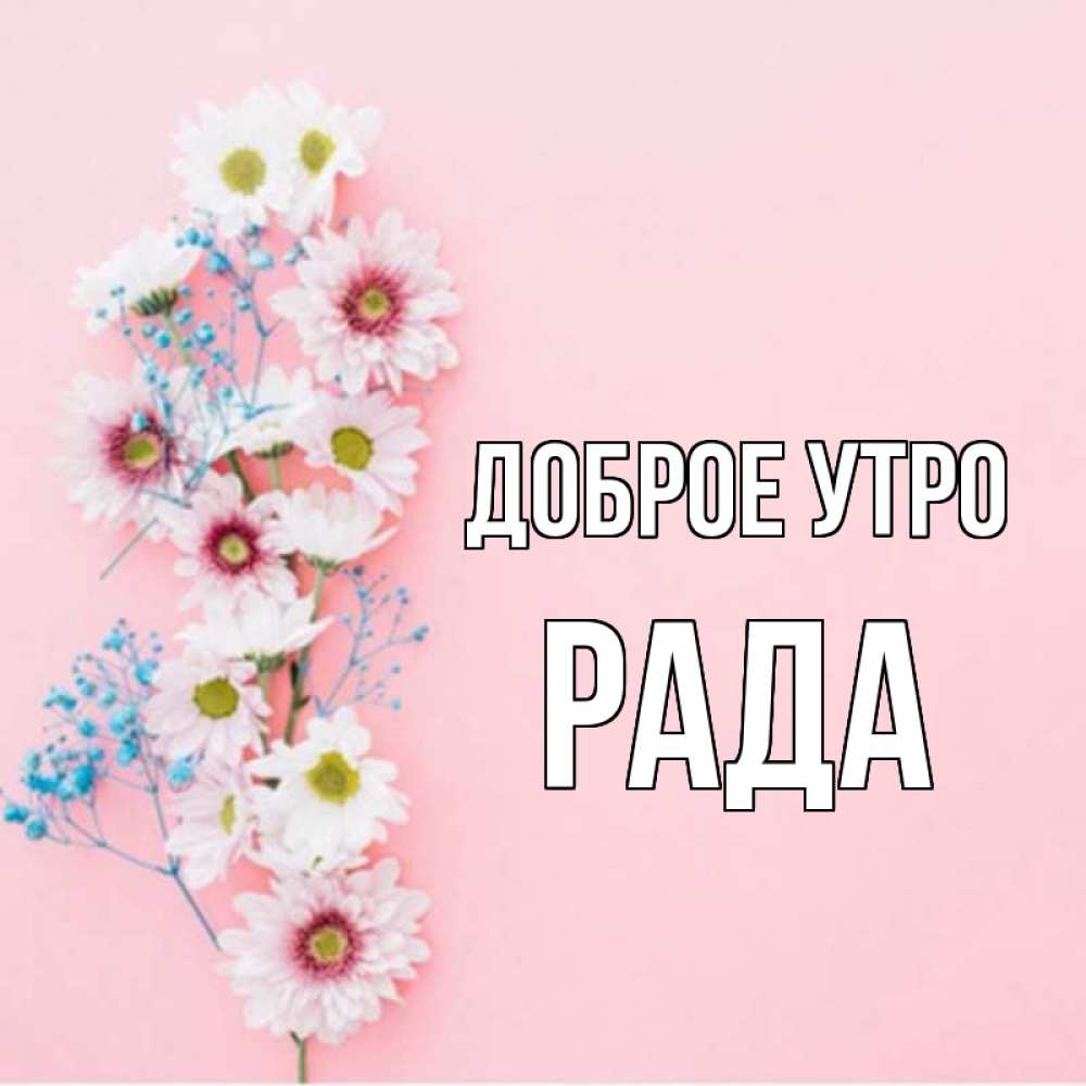 Открытка на каждый день с именем, Рада Доброе утро цветы с подписью Прикольная открытка с пожеланием онлайн скачать бесплатно 