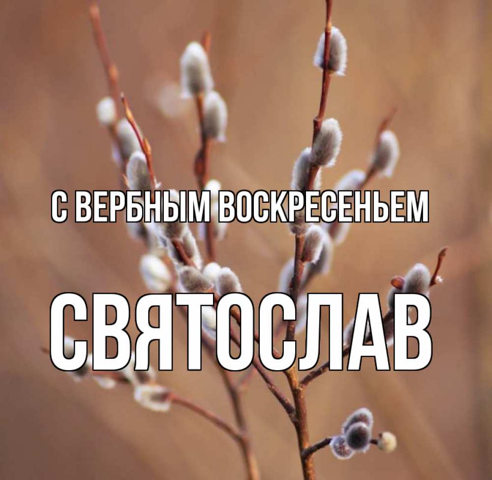 Открытка на каждый день с именем, Святослав С вербным воскресеньем верба Прикольная открытка с пожеланием онлайн скачать бесплатно 