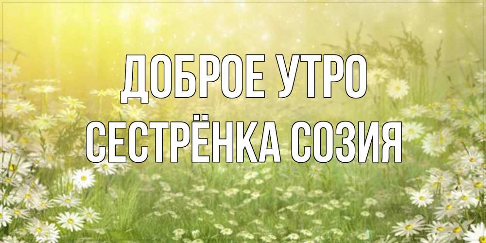 Открытка на каждый день с именем, Сестрёнка-Созия Доброе утро доброе утро Прикольная открытка с пожеланием онлайн скачать бесплатно 