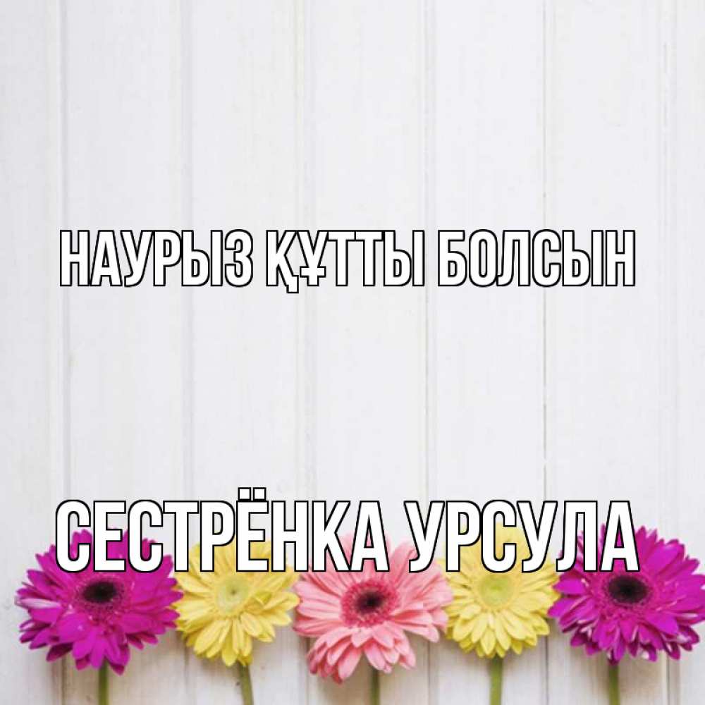 Открытка на каждый день с именем, Сестрёнка-Урсула Наурыз құтты болсын женщинам 1 Прикольная открытка с пожеланием онлайн скачать бесплатно 