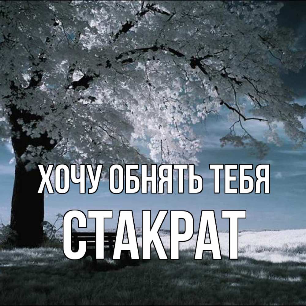 Открытка на каждый день с именем, Стакрат Хочу обнять тебя дерево Прикольная открытка с пожеланием онлайн скачать бесплатно 