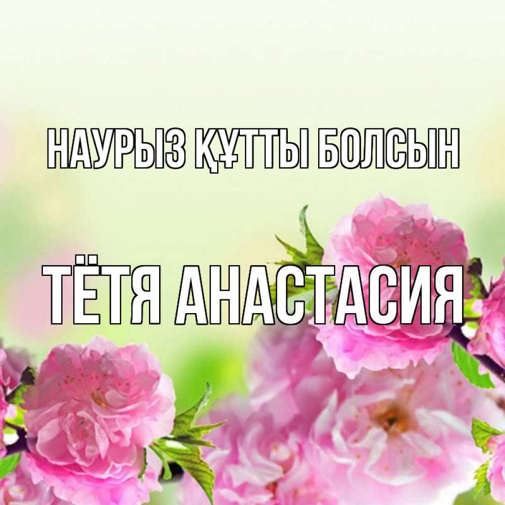 Открытка на каждый день с именем, Тётя-Анастасия Наурыз құтты болсын цветы Прикольная открытка с пожеланием онлайн скачать бесплатно 