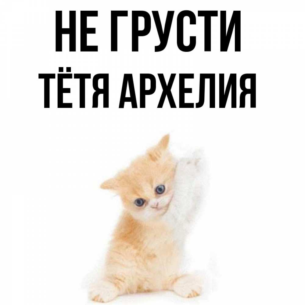 Открытка на каждый день с именем, Тётя-Архелия Не грусти просящий кот Прикольная открытка с пожеланием онлайн скачать бесплатно 