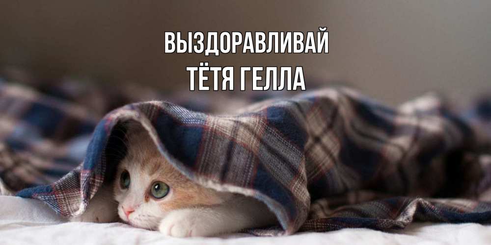 Открытка на каждый день с именем, Тётя-Гелла Выздоравливай не болейте с котиком Прикольная открытка с пожеланием онлайн скачать бесплатно 