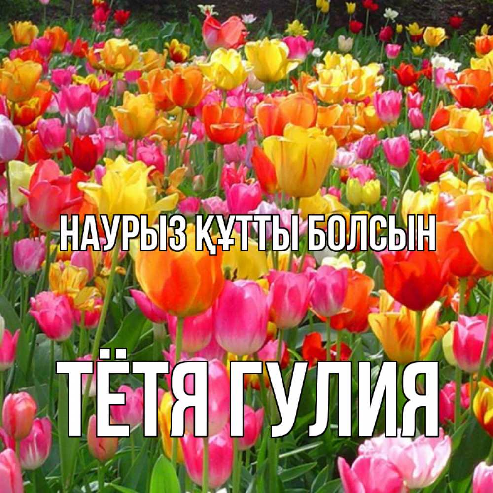 Открытка на каждый день с именем, Тётя-Гулия Наурыз құтты болсын на наурыз  ура ура Прикольная открытка с пожеланием онлайн скачать бесплатно 