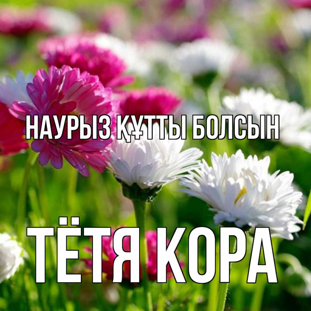 Открытка на каждый день с именем, Тётя-Кора Наурыз құтты болсын наурыз Прикольная открытка с пожеланием онлайн скачать бесплатно 