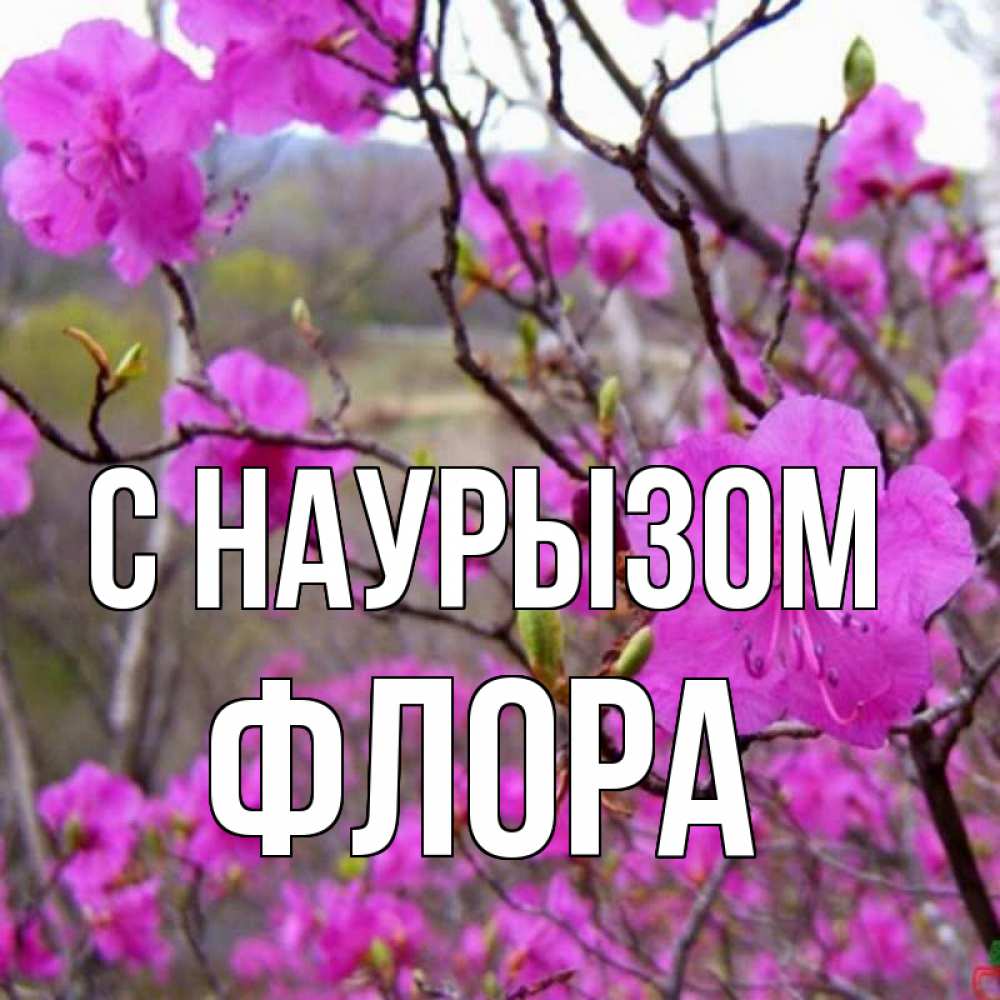Открытка на каждый день с именем, Флора С наурызом праздник весны наурыз Прикольная открытка с пожеланием онлайн скачать бесплатно 