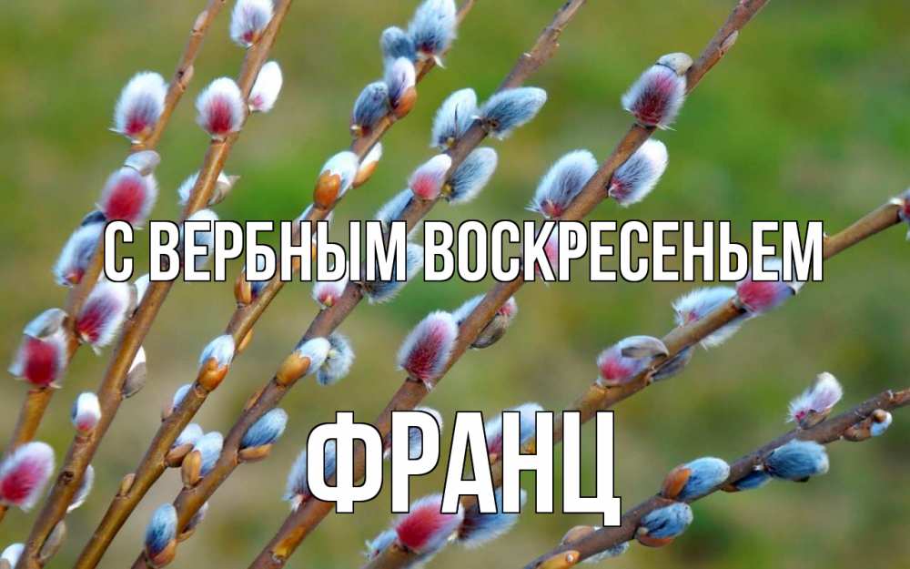 Открытка на каждый день с именем, Франц С вербным воскресеньем верба Прикольная открытка с пожеланием онлайн скачать бесплатно 