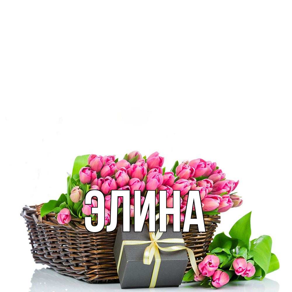 
Картинки Элина
