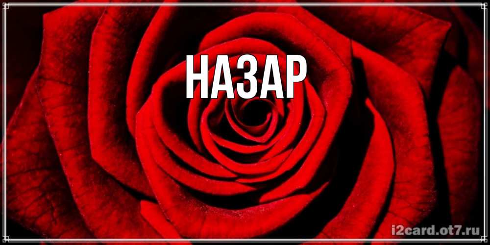 Открытка на каждый день с именем, Назар Главная алая роза Прикольная открытка с пожеланием онлайн скачать бесплатно 