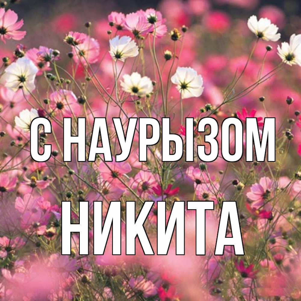 Открытка на каждый день с именем, Никита С наурызом красиво 1 Прикольная открытка с пожеланием онлайн скачать бесплатно 