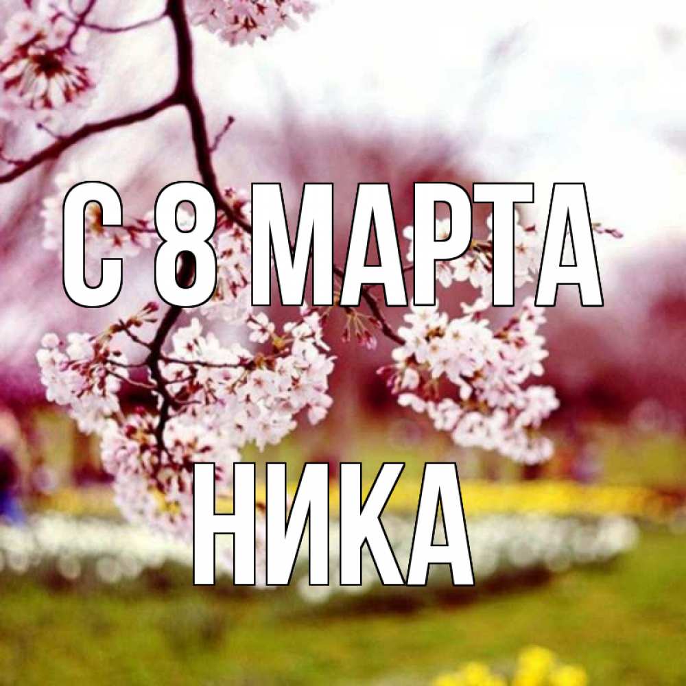 Открытка на каждый день с именем, Ника С 8 МАРТА яблоня Прикольная открытка с пожеланием онлайн скачать бесплатно 