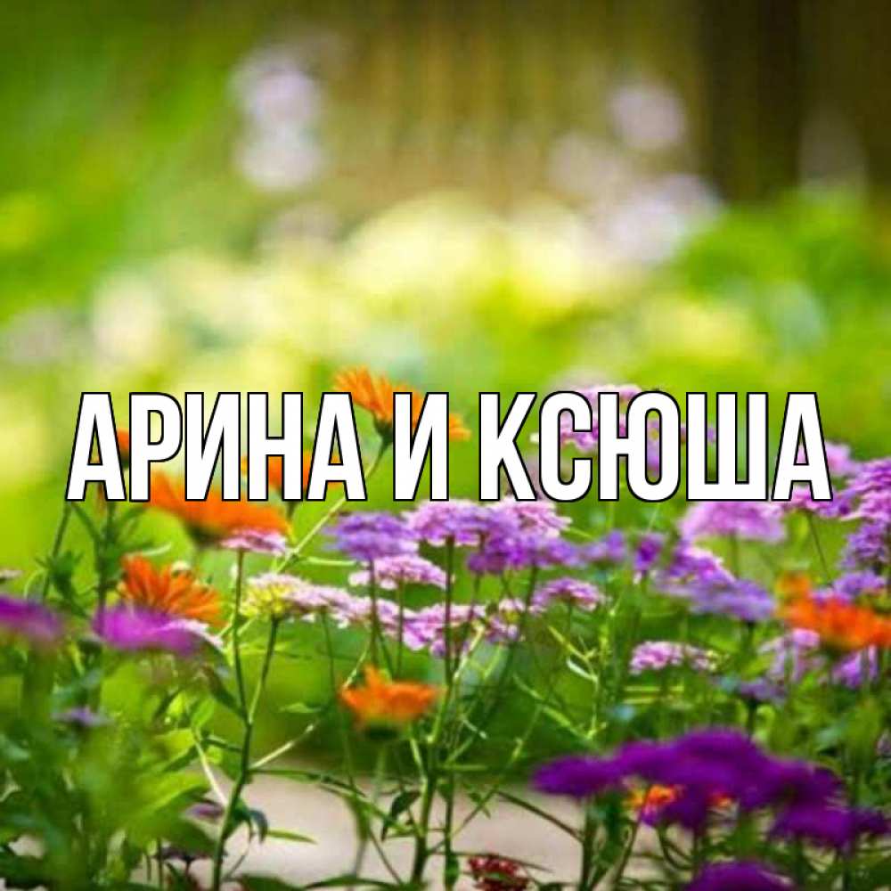Открытка на каждый день с именем, Арина-и-Ксюша Главная цветы Прикольная открытка с пожеланием онлайн скачать бесплатно 